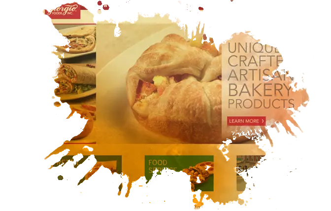 Website Development Services in Lititz, PA AI Search Optimization in Reading, PA